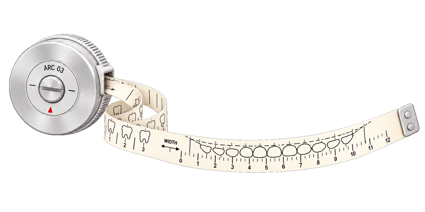 Modern silky-silver dental measuring tape printed with tooth proportions and a smile-arc scale